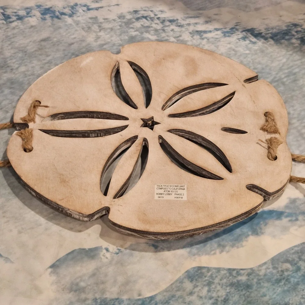 Coastal Sand Dollar Wall Decor 14.5
